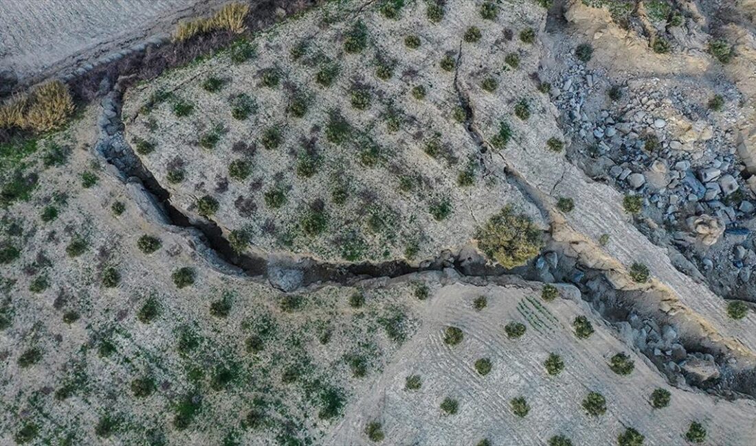 Dokuz Eylül Üniversitesi Deprem Araştırma ve Uygulama Merkezi (DAUM) Müdürü