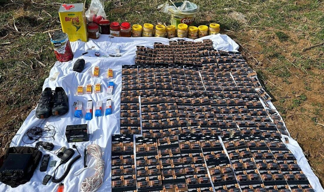 Bitlis'in Tatvan ilçesinde terör örgütü PKK'ya yönelik operasyonda araziye gizlenmiş