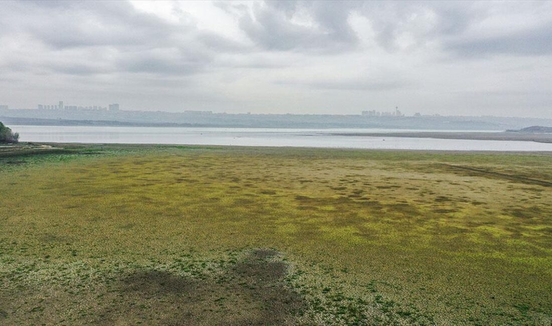 Bitmeyen yaz İstanbul barajlarındaki su seviyesini olumsuz etkiliyor İSTANBUL (AA) – Avrupa Komisyonu’na bağlı Kopernik İklim Değişikliği Servisi