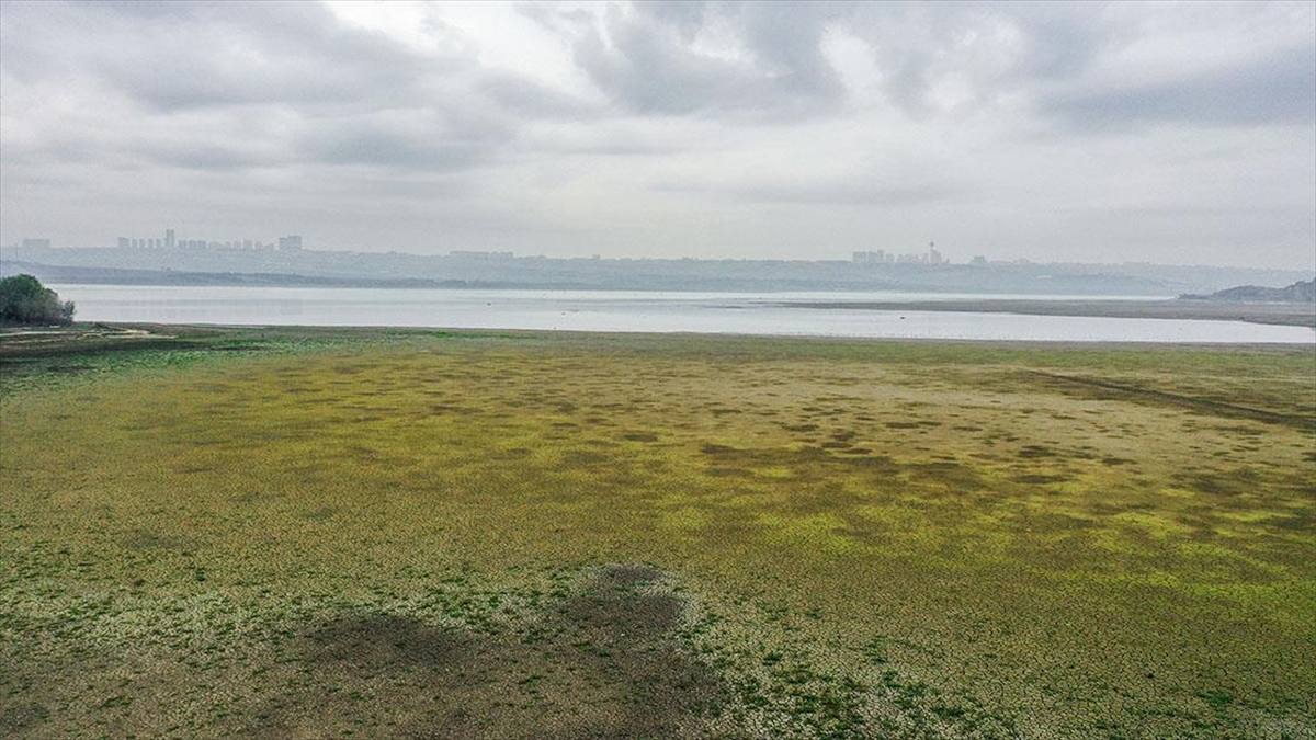 İSTANBUL (AA) – Avrupa Komisyonu’na bağlı Kopernik İklim Değişikliği Servisi