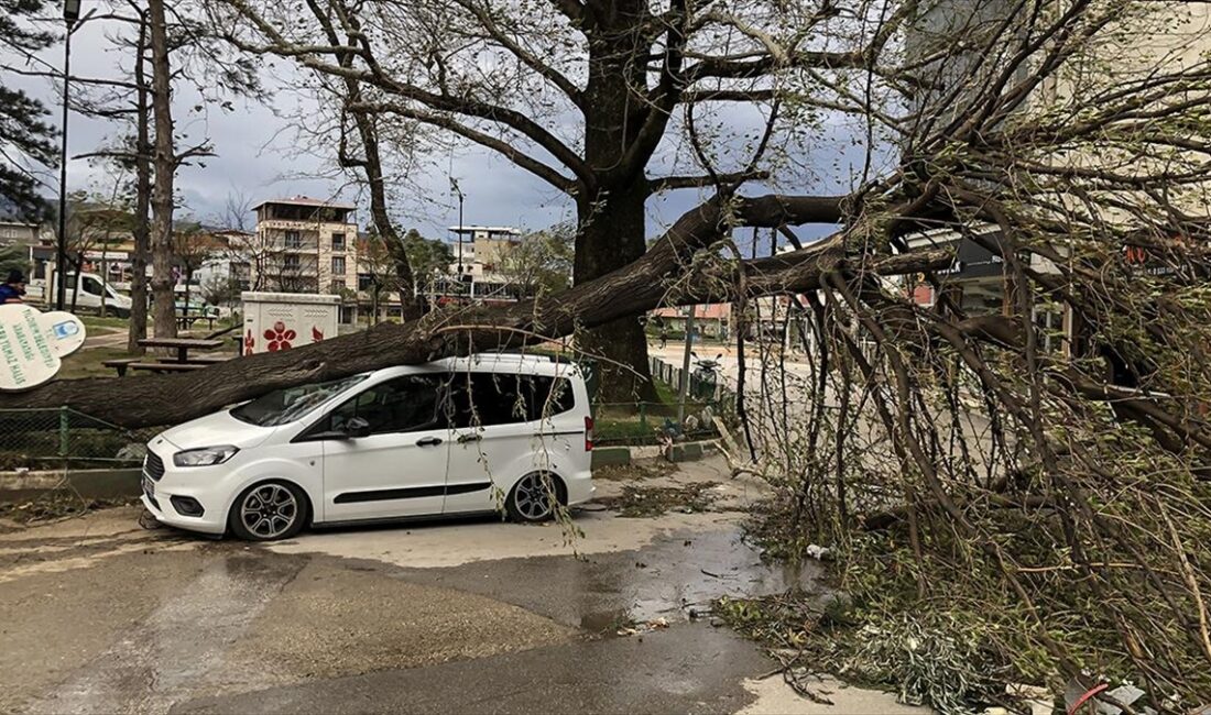 Bursa'da saatteki hızı 100 kilometreye yaklaşan kuvvetli lodos, yaşamı olumsuz