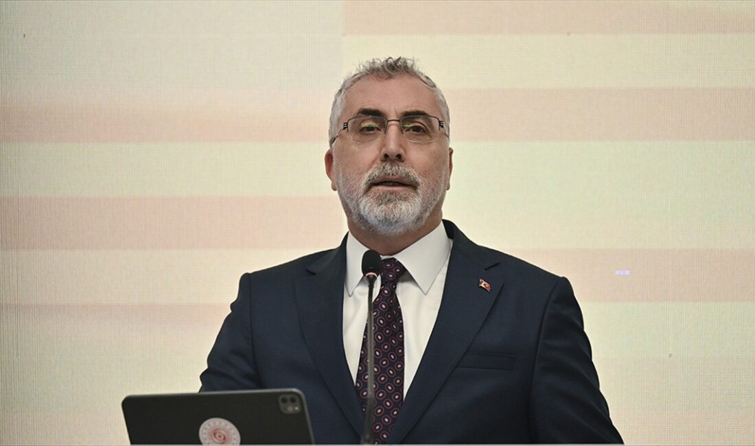 Çalışma ve Sosyal Güvenlik Bakanı Vedat Işıkhan, Sosyal Güvenlik Kurumu