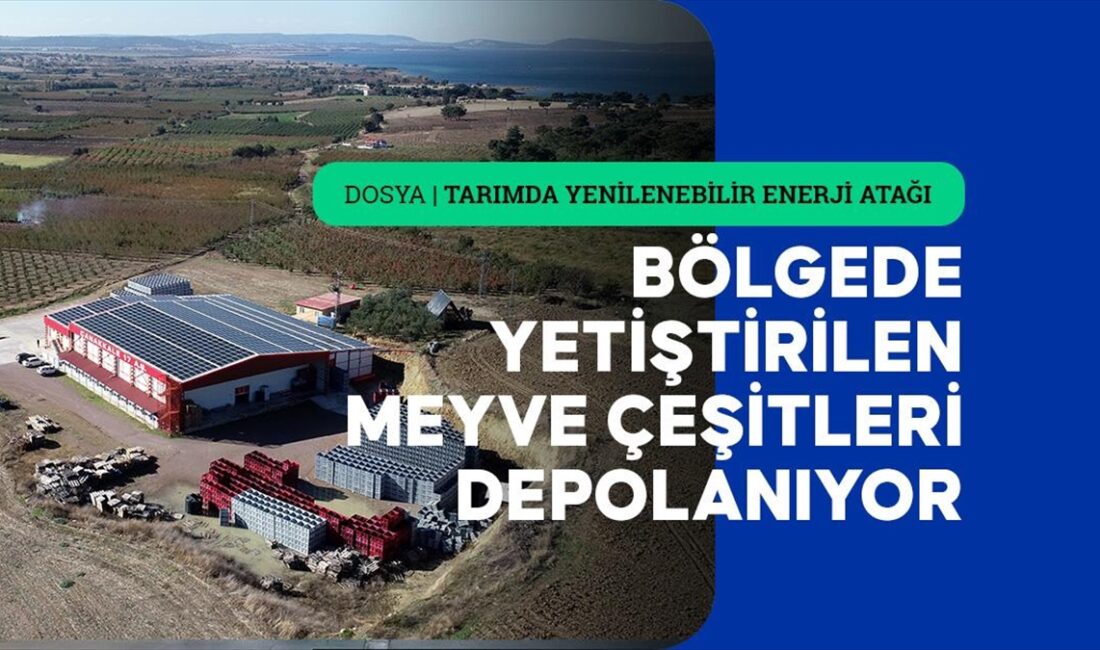Çanakkale'de 3 girişimcinin 8 yıl önce kurduğu soğuk hava tesisi,