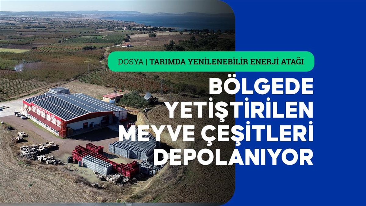 Çanakkale'de 3 girişimcinin 8 yıl önce kurduğu soğuk hava tesisi,