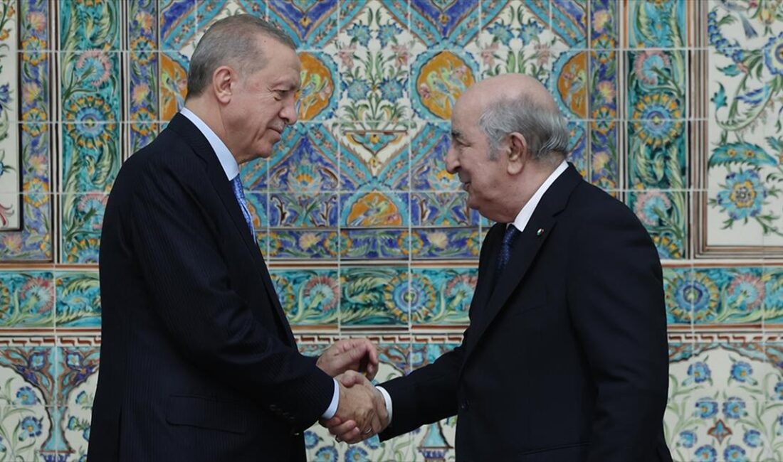 Cezayirli uzmanlar, Cumhurbaşkanı Recep Tayyip Erdoğan’ın 21 Kasım’da Cezayir’e gerçekleştirdiği