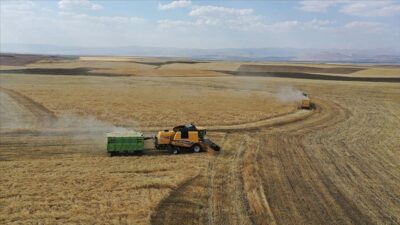 Tarım ve Orman Bakanlığınca 47 milyon 185 bin liralık tarımsal