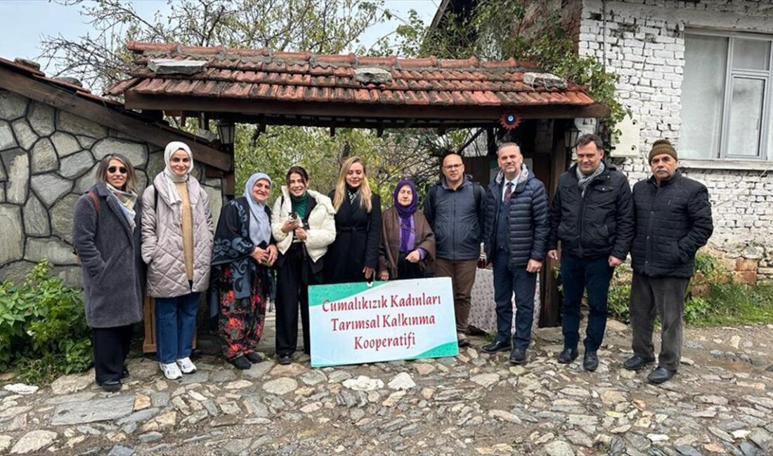 BURSA (AA) – Birleşmiş Milletler Eğitim, Bilim ve Kültür Örgütünce