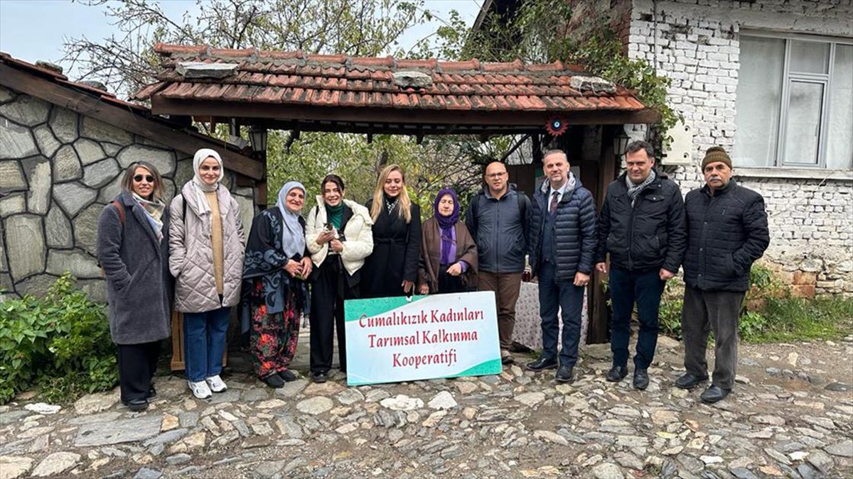 BURSA (AA) – Birleşmiş Milletler Eğitim, Bilim ve Kültür Örgütünce