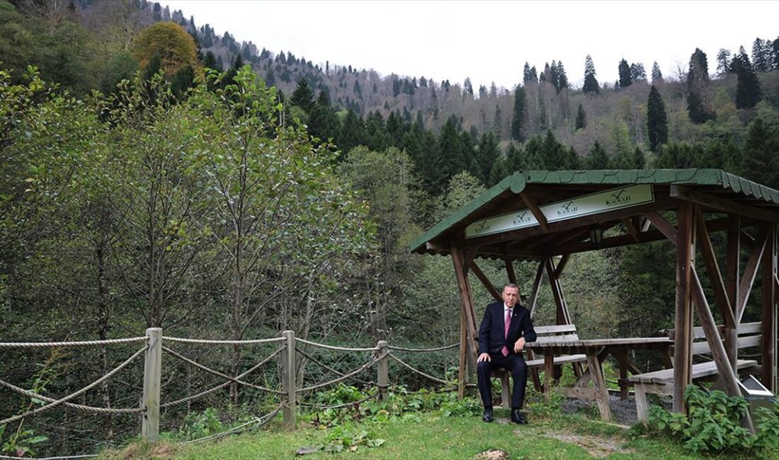 Cumhurbaşkanı Recep Tayyip Erdoğan, Rize'nin Çamlıhemşin ilçesine bağlı Ayder Yaylası'nda