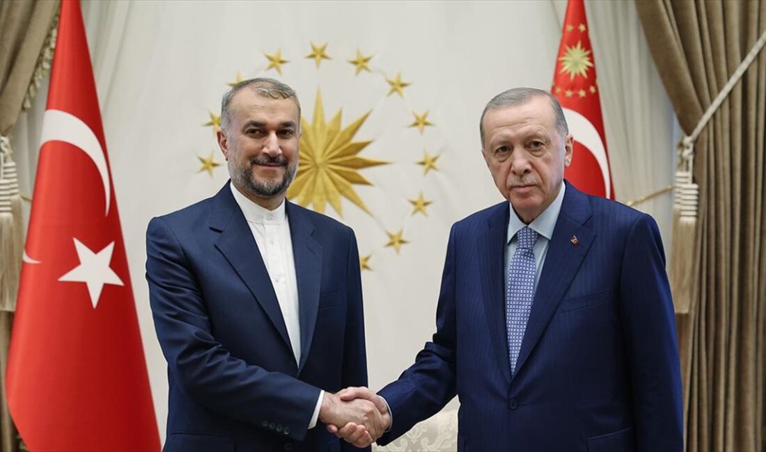 Cumhurbaşkanı Recep Tayyip Erdoğan, İran Dışişleri Bakanı Hüseyin Emir Abdullahiyan'ı