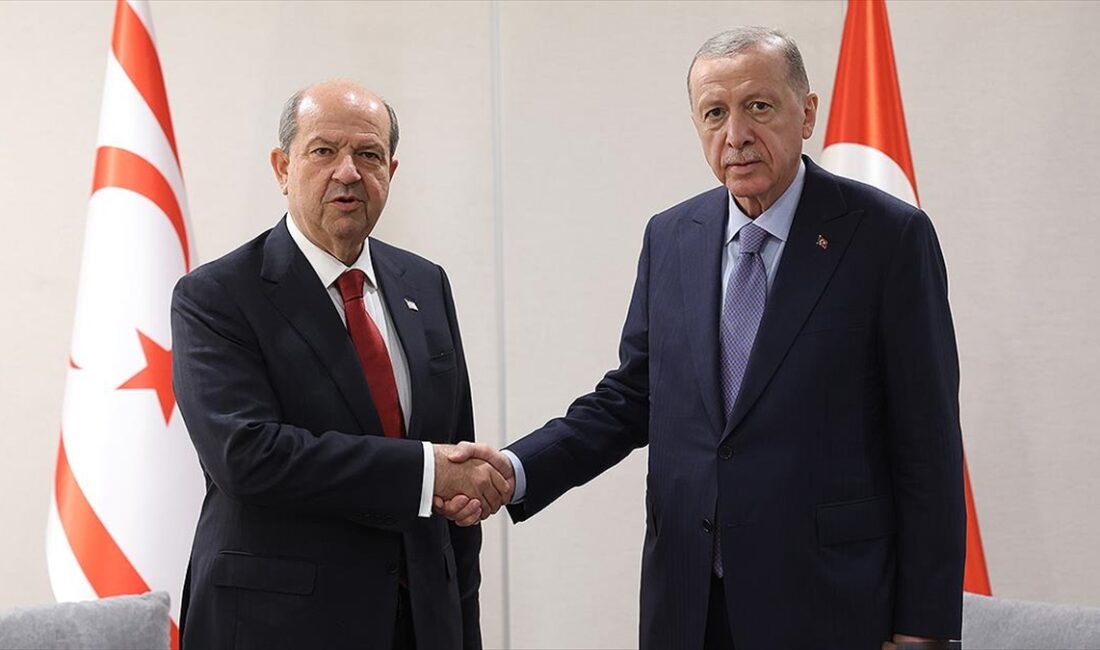 Cumhurbaşkanı Recep Tayyip Erdoğan, Kuzey Kıbrıs Türk Cumhuriyeti (KKTC) Cumhurbaşkanı