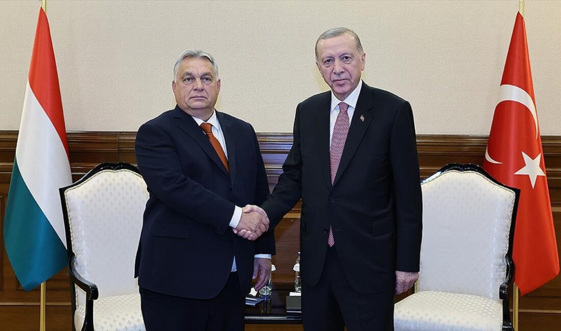Cumhurbaşkanı Recep Tayyip Erdoğan, Macaristan Başbakanı Viktor Orban'ı kabul etti.