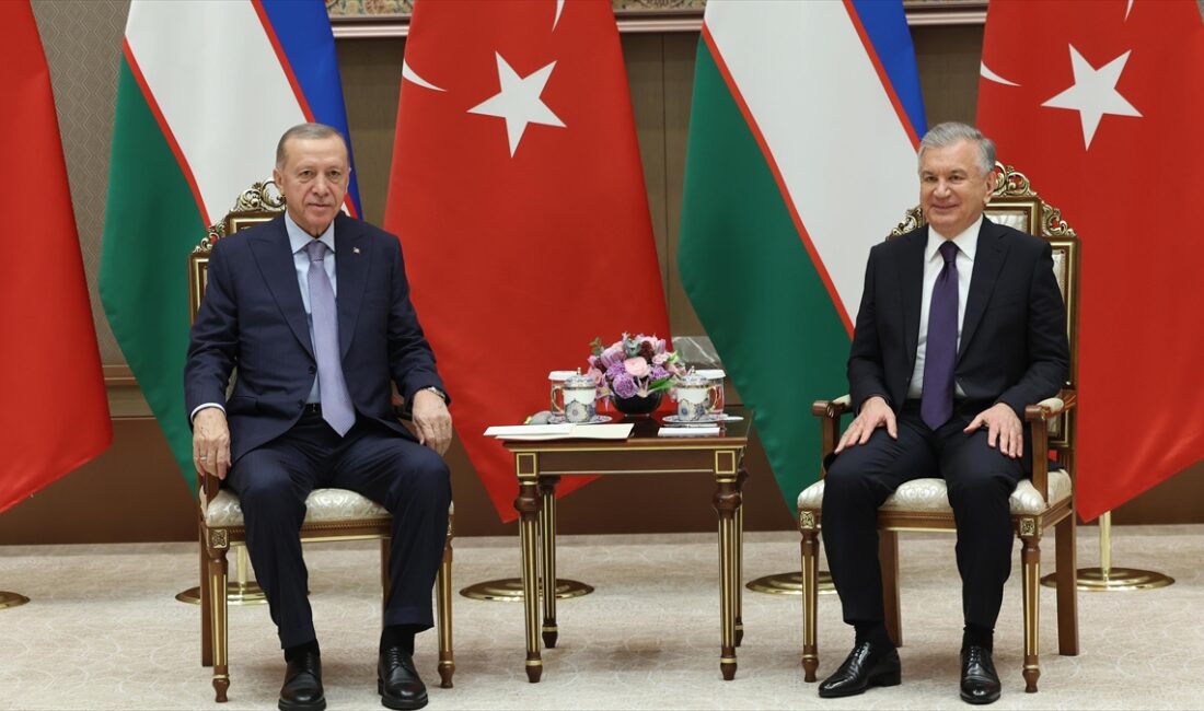 Cumhurbaşkanı Recep Tayyip Erdoğan, Özbekistan Cumhurbaşkanı Şevket Mirziyoyev ile görüşme