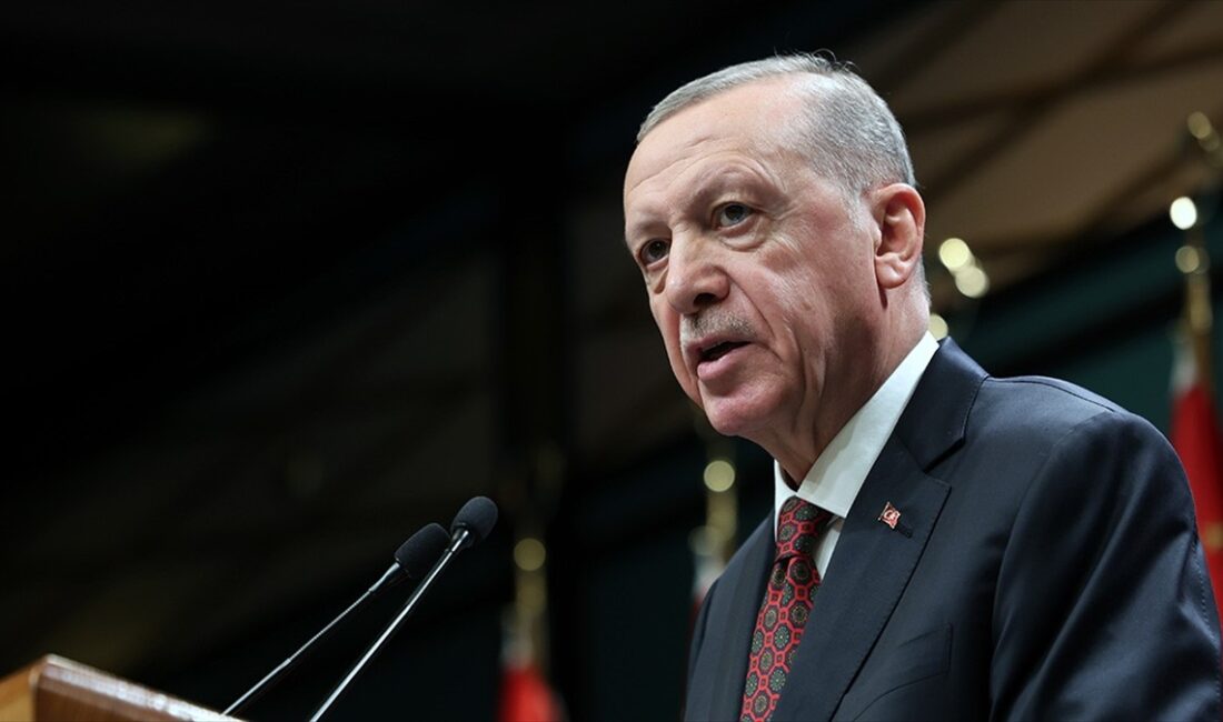 Cumhurbaşkanı Erdoğan, Türkiye ile Cezayir arasındaki Yüksek Düzeyli İşbirliği Konseyinin