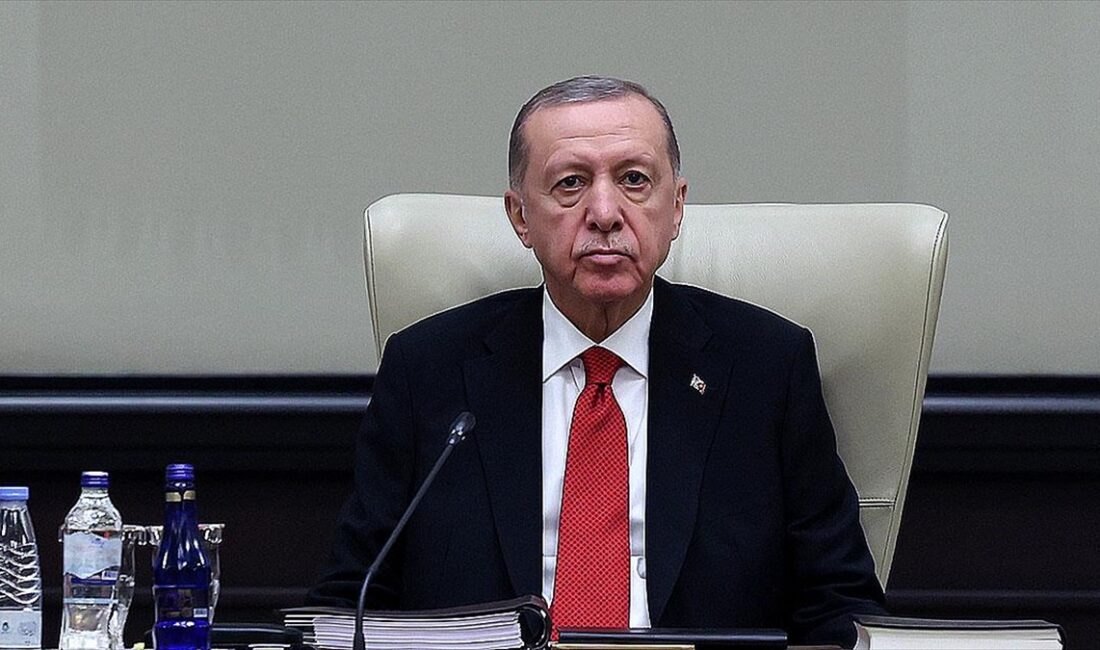 Cumhurbaşkanı Recep Tayyip Erdoğan, "Türkiye, tarih boyunca olduğu gibi bugün
