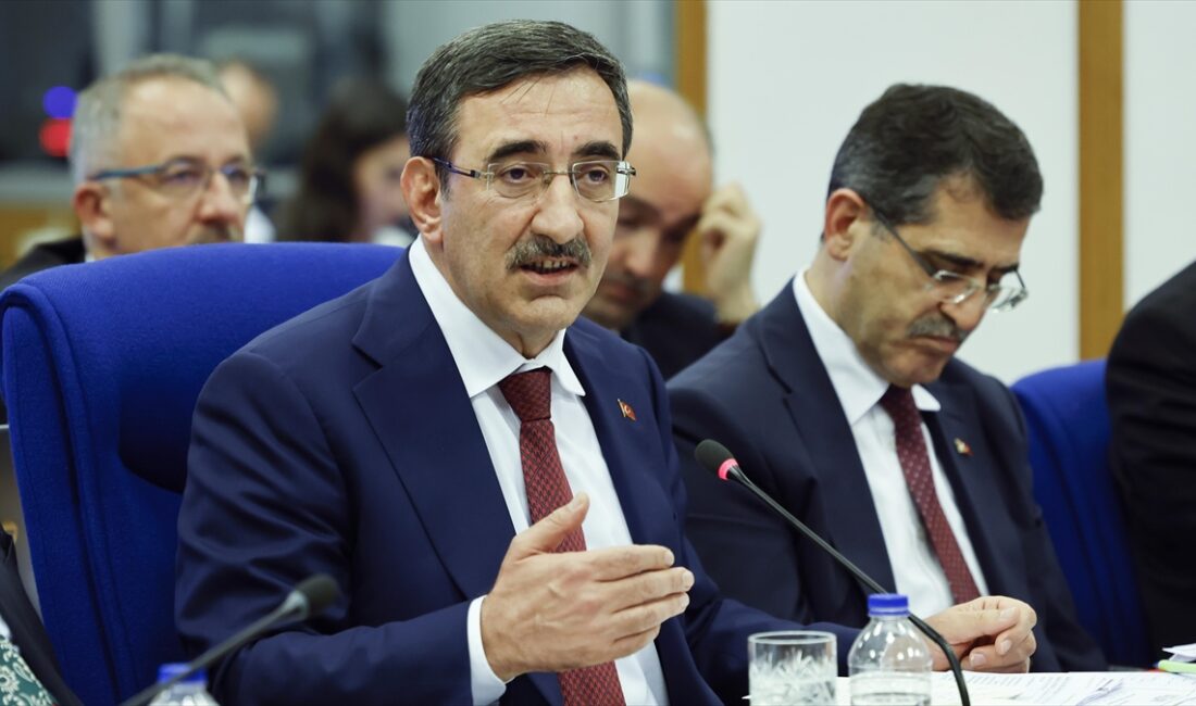 ANKARA (AA) – Cumhurbaşkanı Yardımcısı Cevdet Yılmaz, TBMM Plan ve