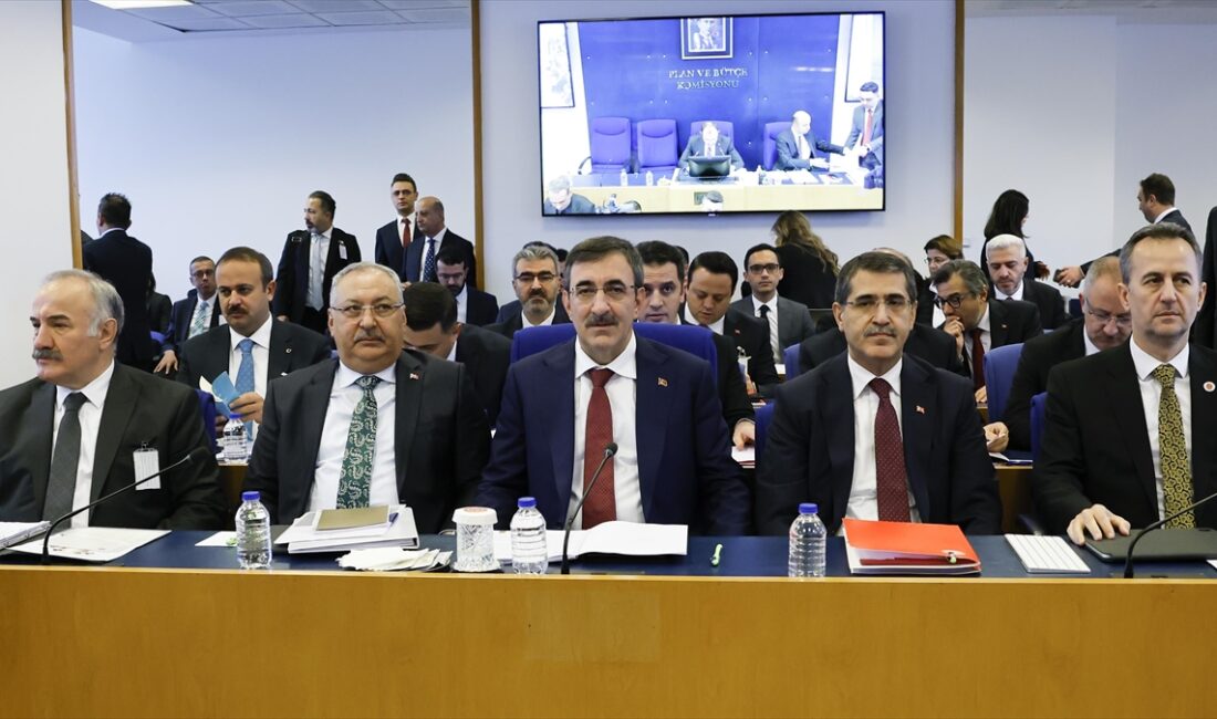 Cumhurbaşkanı Yardımcısı Cevdet Yılmaz, "Hazırladığımız plan ve programlarla politika çerçevesinin