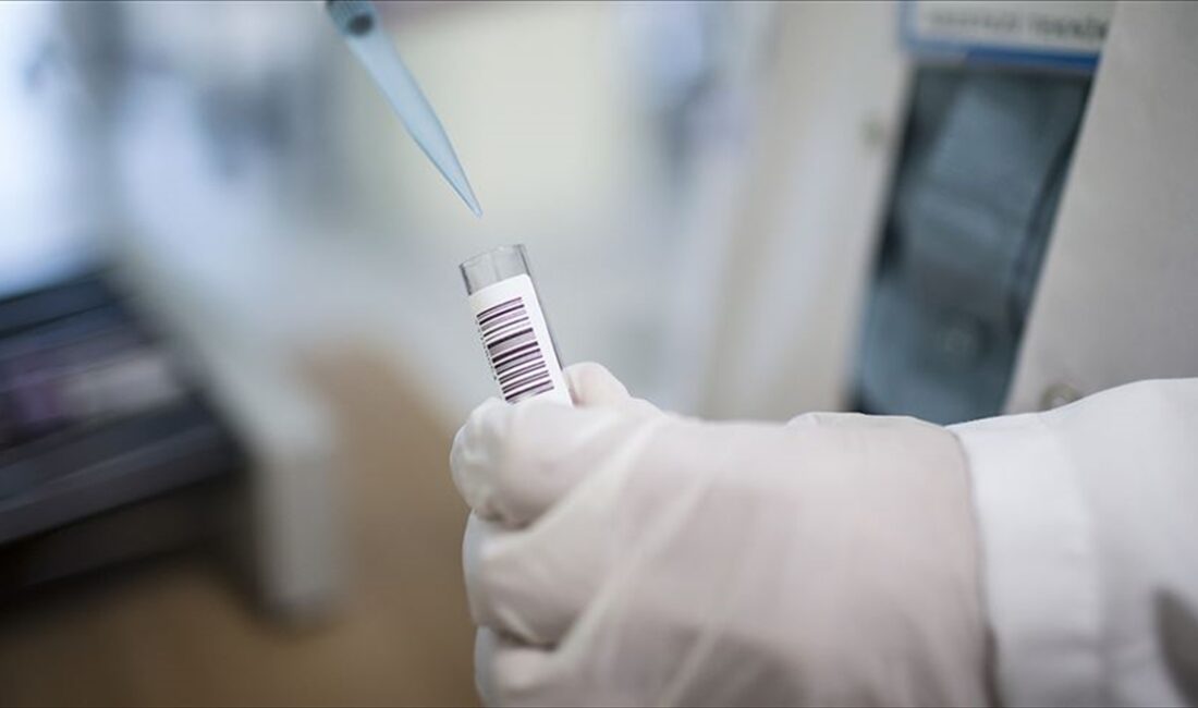 Ondokuz Mayıs Üniversitesi (OMÜ) Dermatoloji Anabilim Dalı Doktor Öğretim Üyesi
