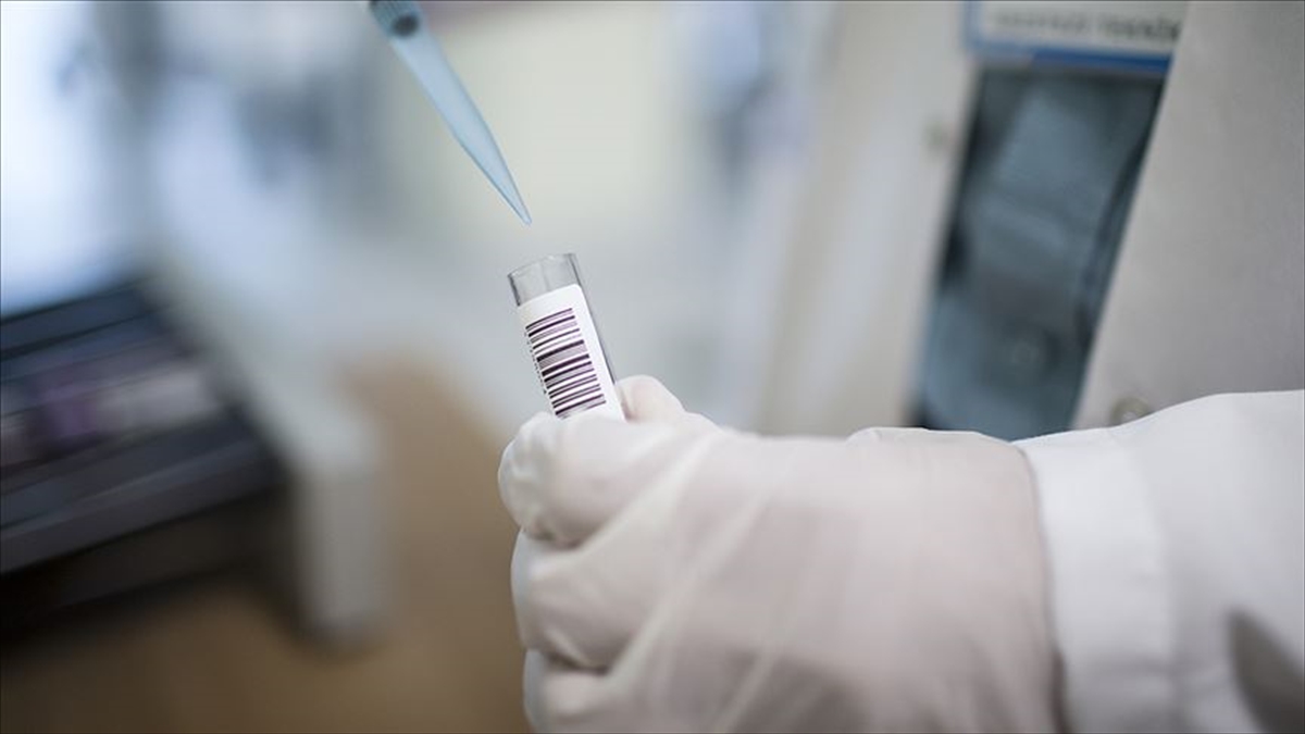 Ondokuz Mayıs Üniversitesi (OMÜ) Dermatoloji Anabilim Dalı Doktor Öğretim Üyesi