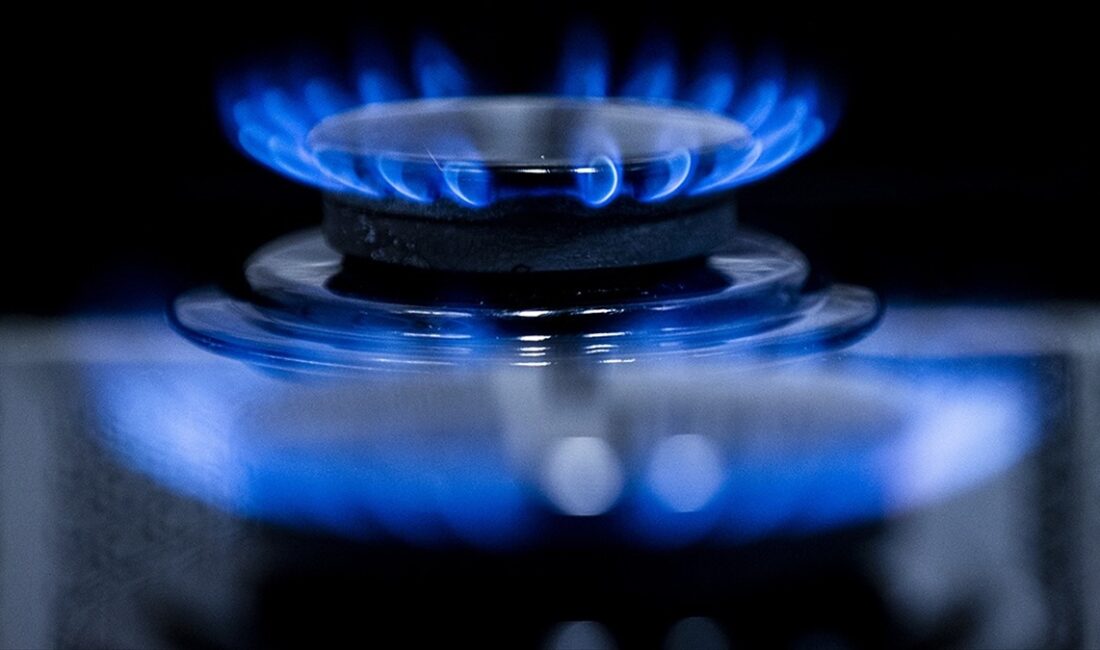 Boru Hatları ile Petrol Taşıma AŞ (BOTAŞ), kasım itibarıyla elektrik