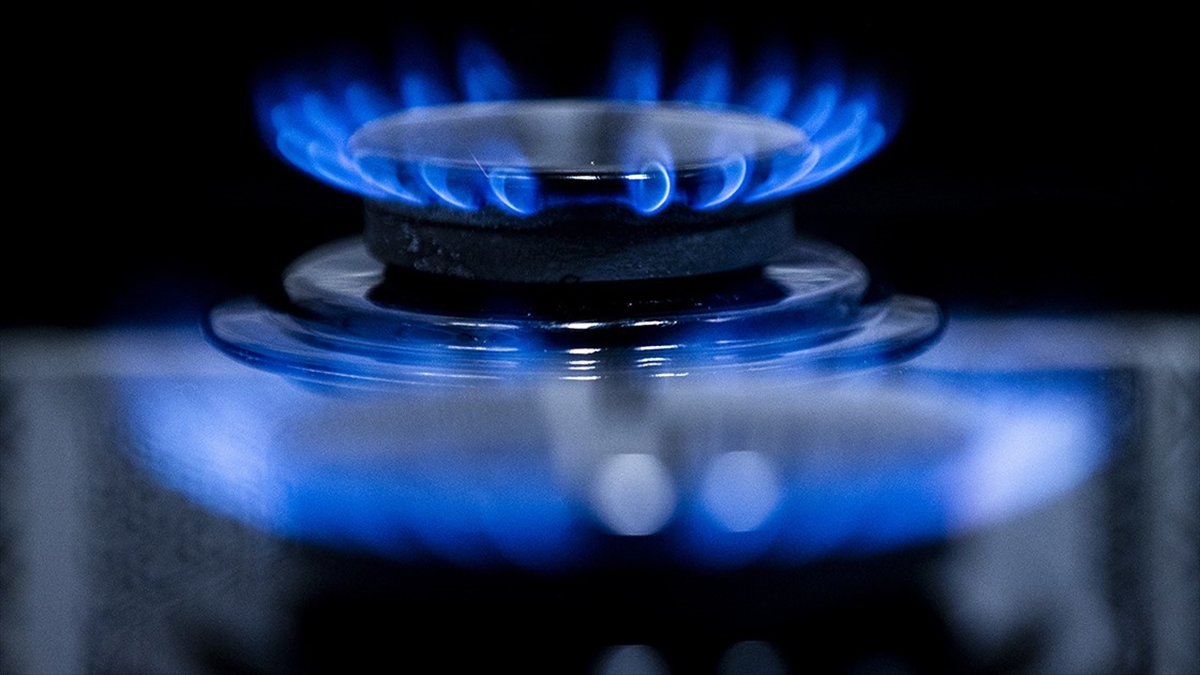 Boru Hatları ile Petrol Taşıma AŞ (BOTAŞ), kasım itibarıyla elektrik