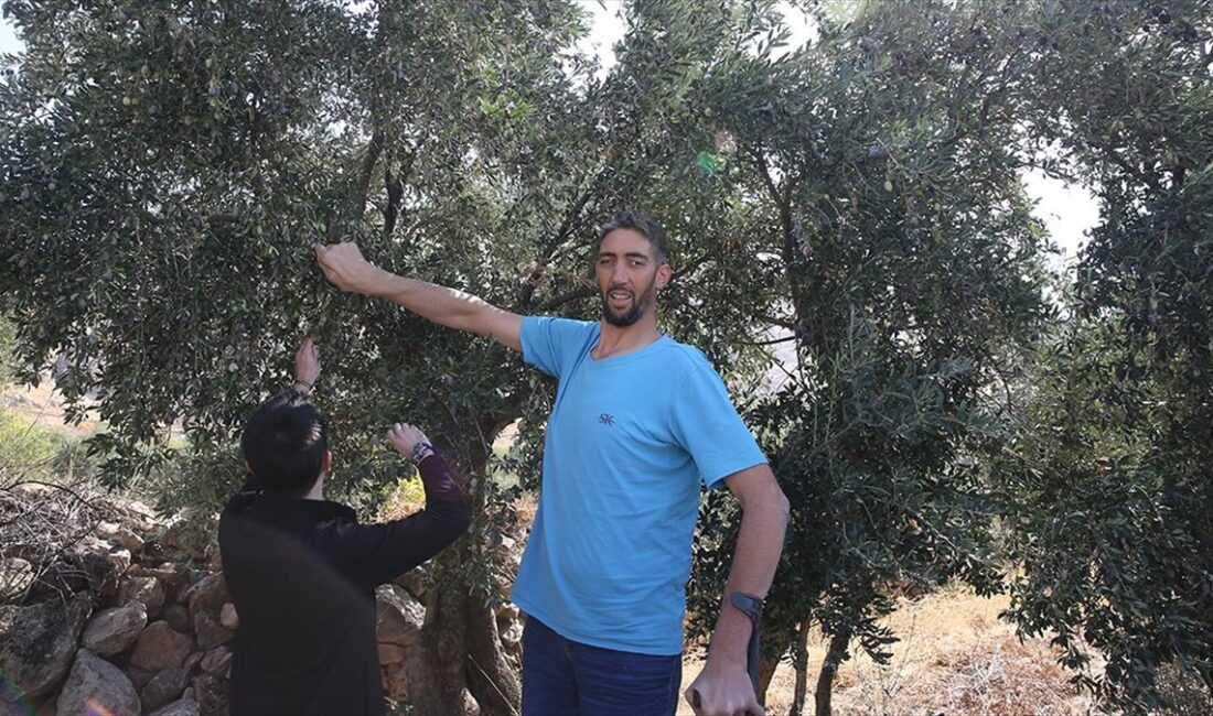 Mardin'de ikamet eden 2 metre 51 santimetre boyuyla "dünyanın en