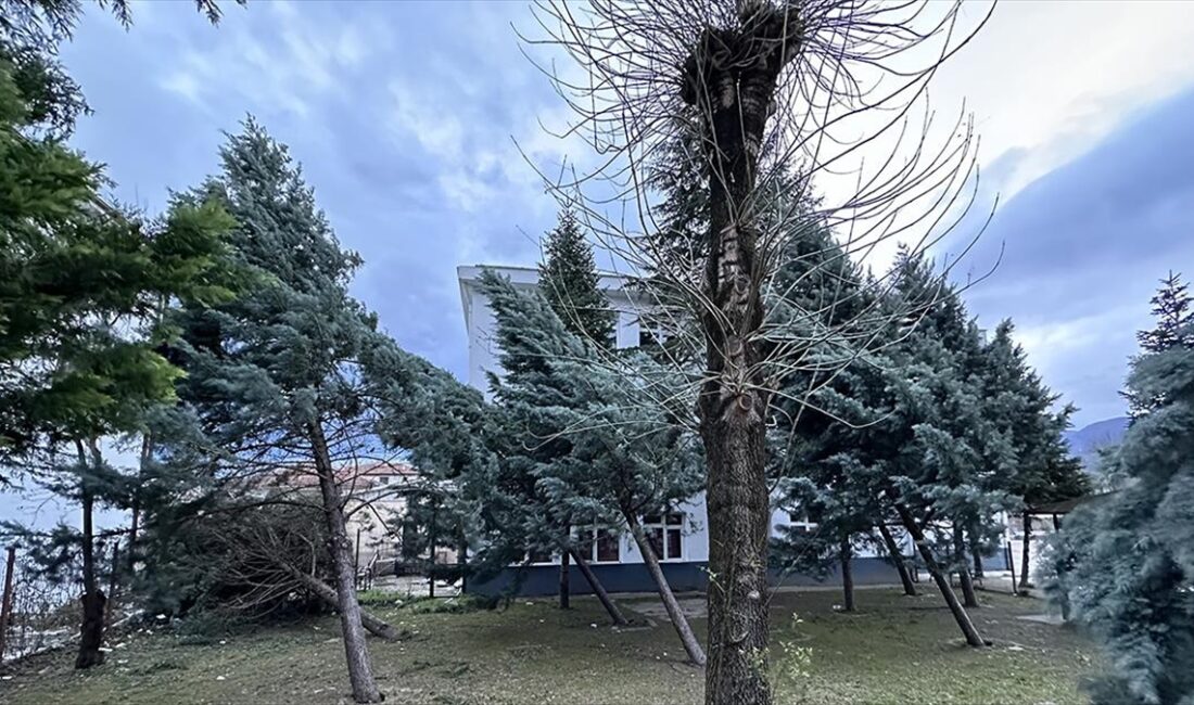 Düzce'nin Gölyaka ve Sakarya'nın Akyazı ilçelerinde kuvvetli rüzgar, yaşamı olumsuz