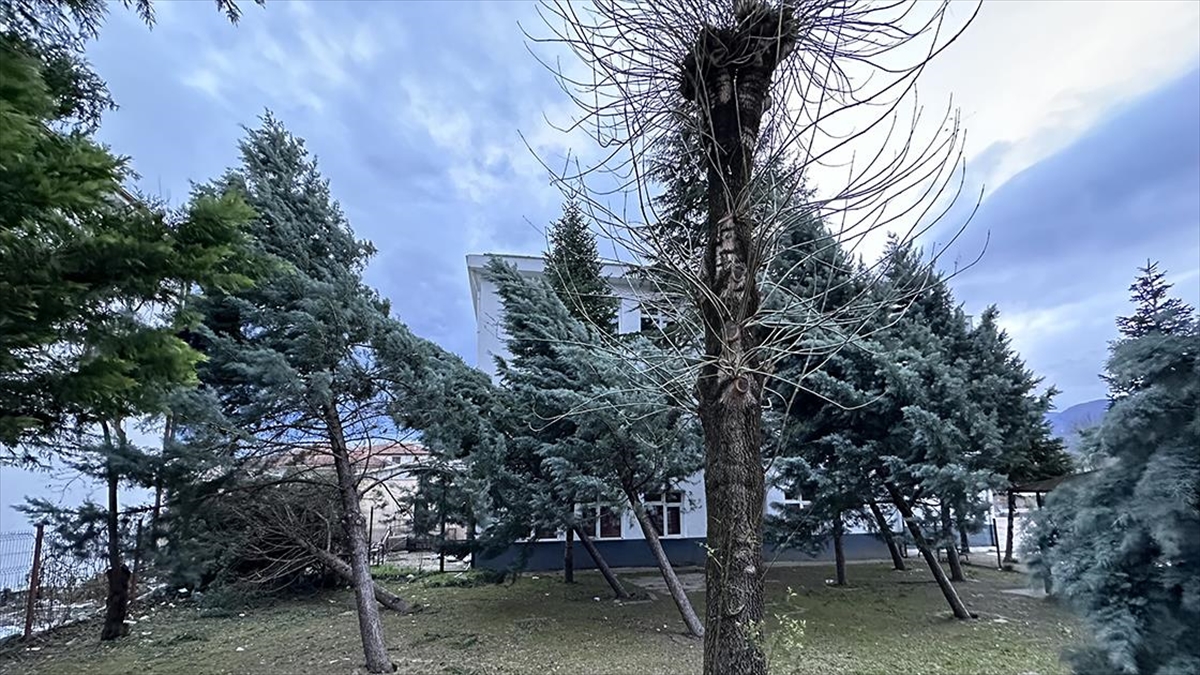 Düzce'nin Gölyaka ve Sakarya'nın Akyazı ilçelerinde kuvvetli rüzgar, yaşamı olumsuz
