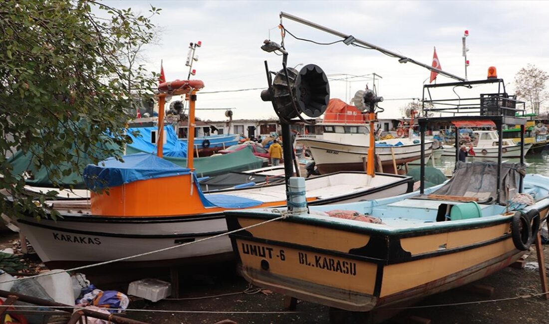 Düzce'de hafta sonu etkili olması beklenen fırtına öncesinde balıkçılar, teknelerini