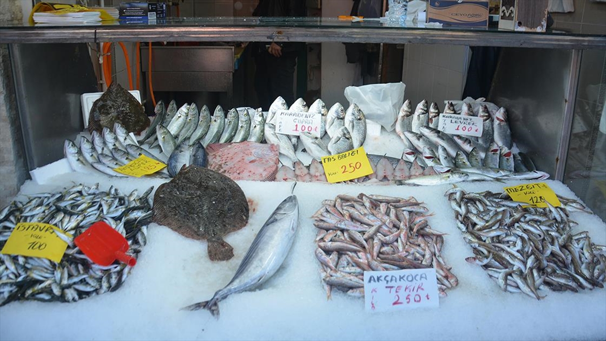Batı Karadeniz'in en önemli limanlarından Düzce'nin Akçakoca ilçesinde palamut avcılığı