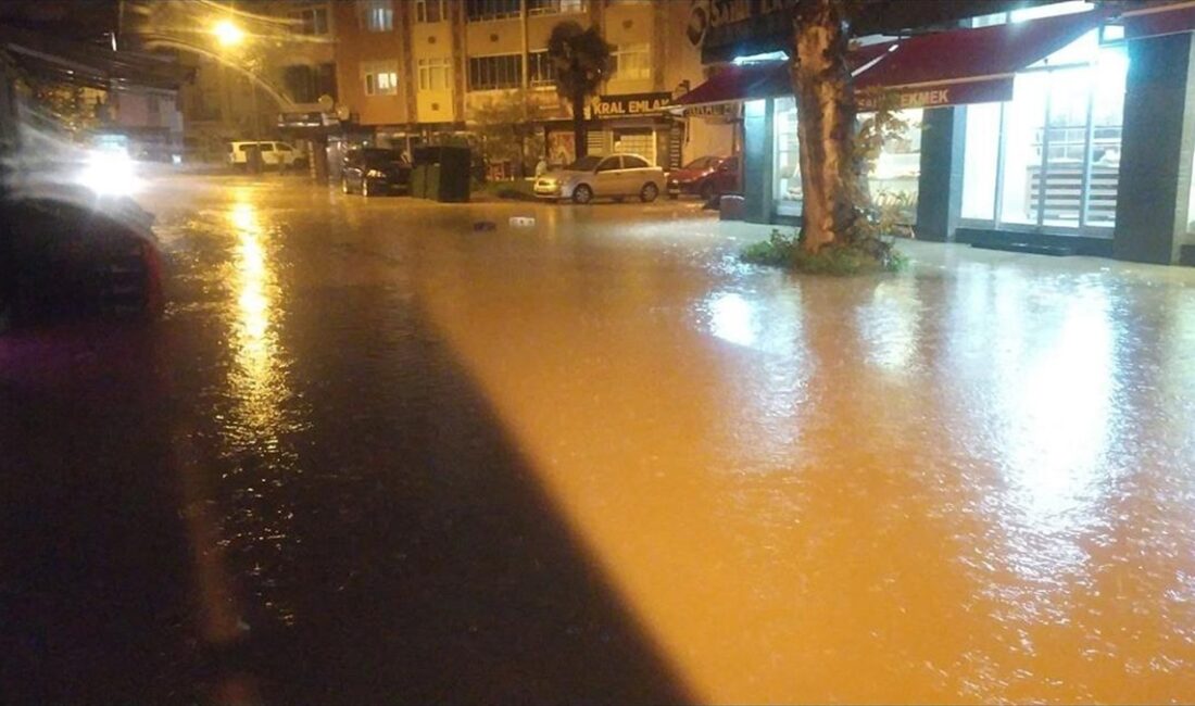 Düzce'nin Akçakoca ilçesinde etkili olan sağanak, yaşamı olumsuz etkiledi.