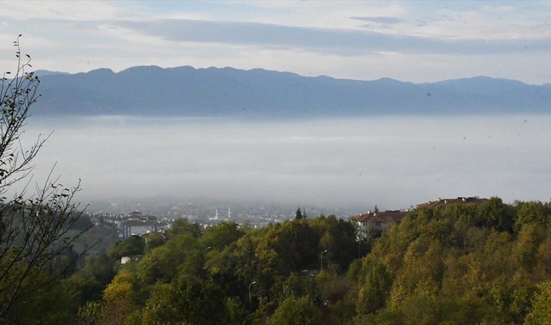 Düzce'de sis etkisini gösterdi.