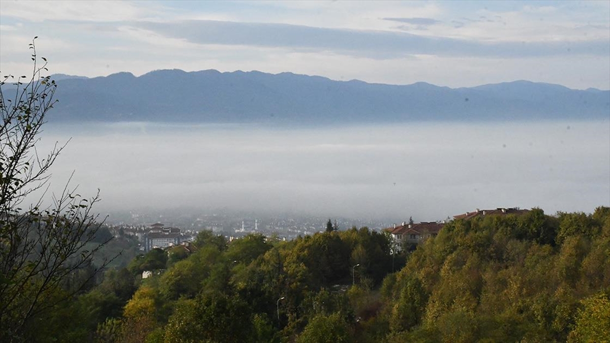 Düzce'de sis etkisini gösterdi.