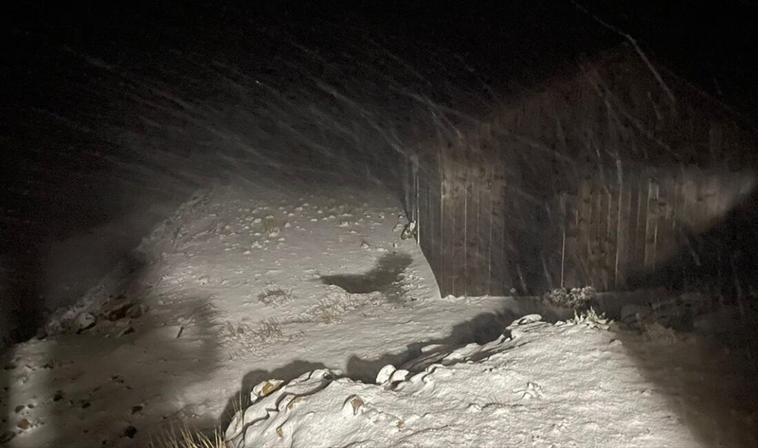 Düzce'de yılın ilk kar yağışı Kardüz Yaylası'nda başladı Düzce'nin Gölyaka ilçesindeki 1830 rakımlı Kardüz Yaylası'nda kar yağışı etkili