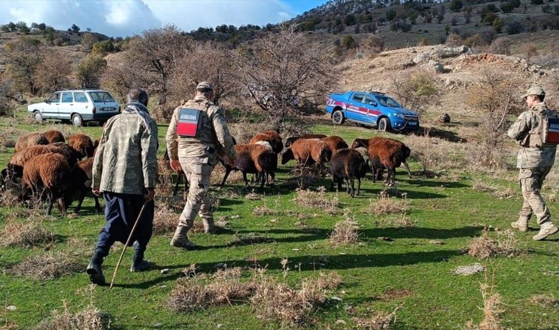 Elazığ'da kaybolan 40 koyun dron görüntüleriyle bulundu Elazığ'ın Alacakaya ilçesinde kayıp 40 küçükbaş hayvan, jandarma ekiplerinin 4