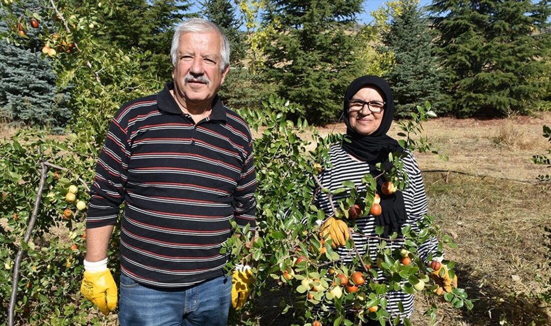 Afyonkarahisar'da emekli öğretmen Necati ile Şükran Gündüz çifti, 10 yıl