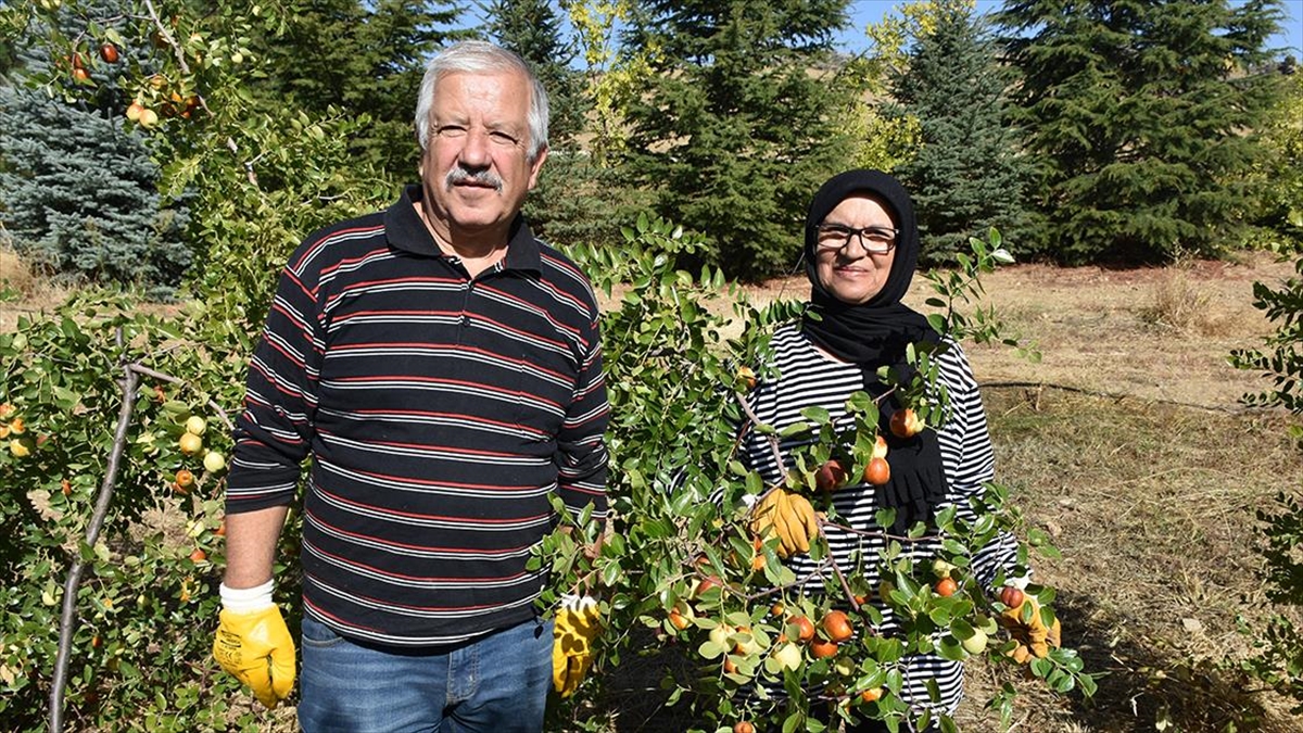 Afyonkarahisar'da emekli öğretmen Necati ile Şükran Gündüz çifti, 10 yıl