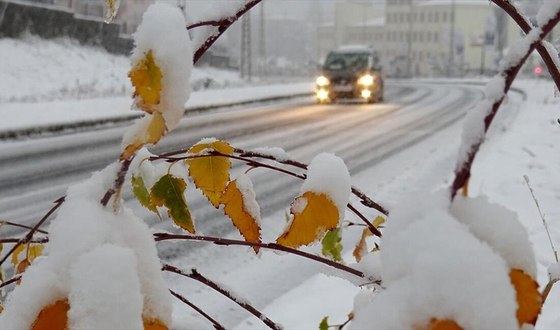 Erzurum, Kars ve Ardahan'da sonbaharda etkili olan kar ve soğuk
