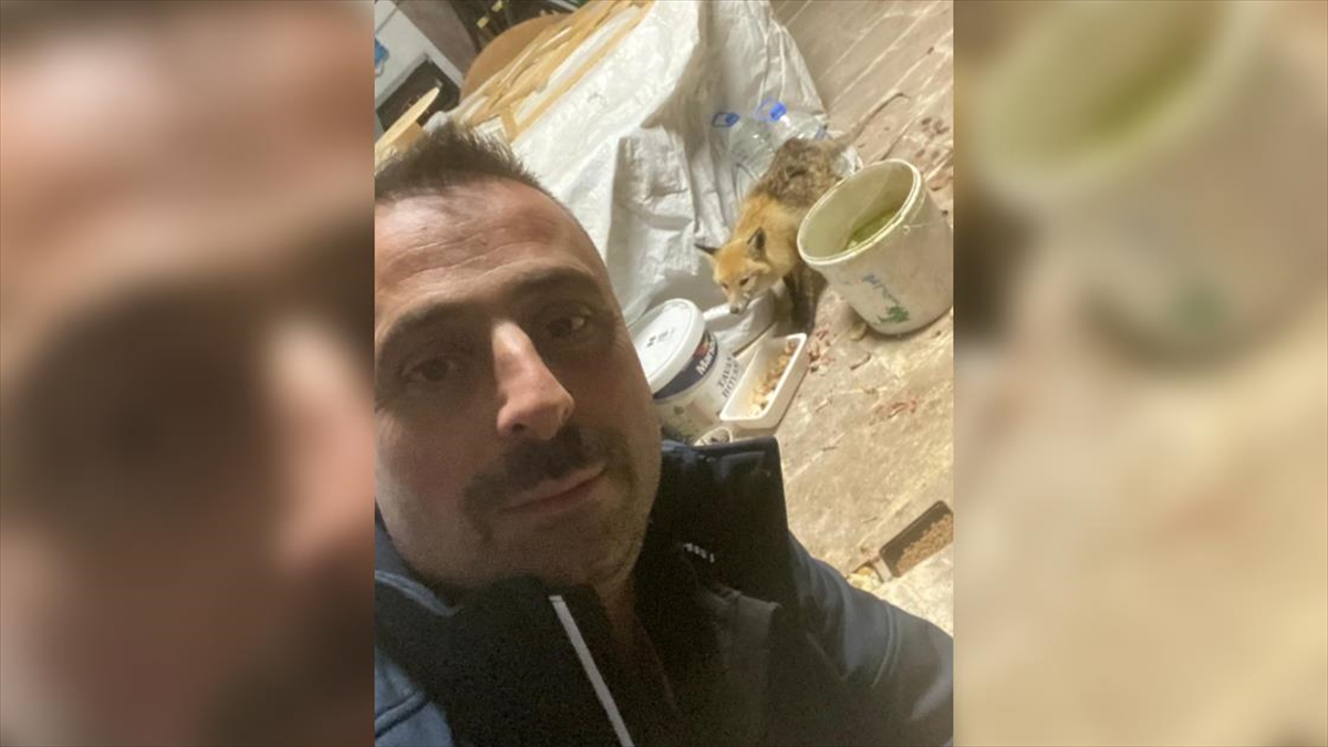 Erzurum'da, kar ve soğuk hava nedeniyle aç kalınca köye inen