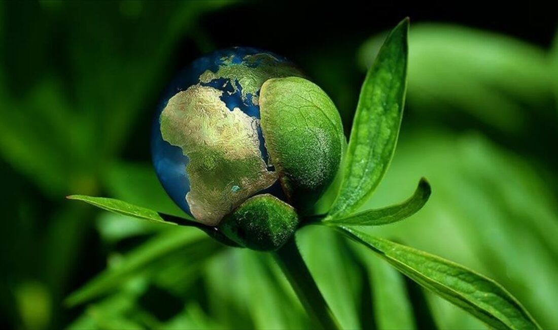 Bu yıl başkanlığını Birleşik Arap Emirlikleri'nin (BAE) yürüttüğü COP28, Dubai'nin