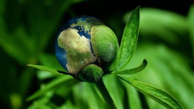 Bu yıl başkanlığını Birleşik Arap Emirlikleri'nin (BAE) yürüttüğü COP28, Dubai'nin