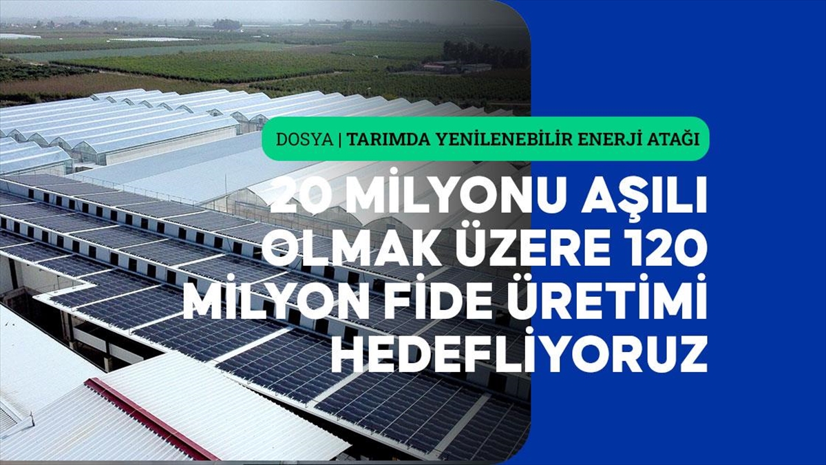 MERSIN (AA) – Anadolu Ajansının (AA), tarımda yenilenebilir enerji kullanımının