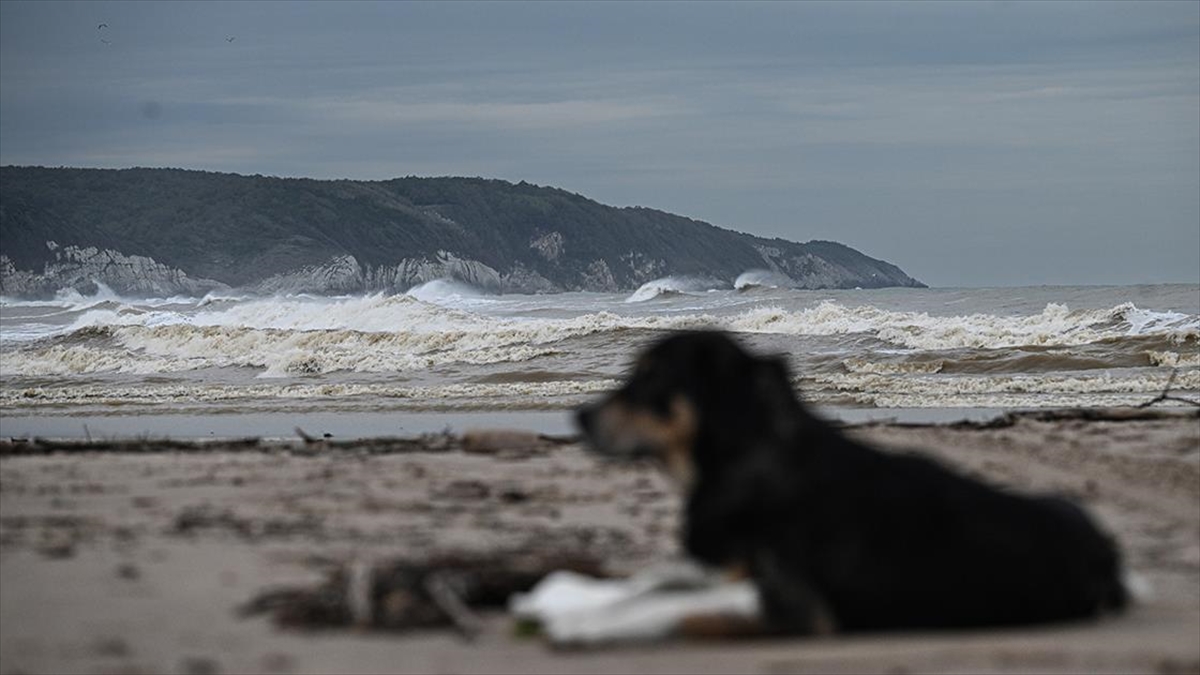 Şile'de dün şiddetli yağış ve fırtınadan etkilenen yerlerde hasar tespit