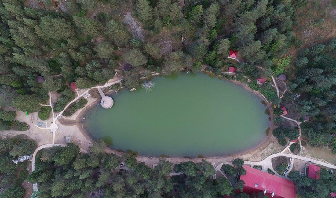Doğu Karadeniz'in önemli turizm destinasyonlarını barındıran Gümüşhane'nin Torul ilçesi, yılın