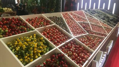 ANTALYA (AA) – Bu yıl 22'ncisi düzenlenen Growtech Antalya Tarım