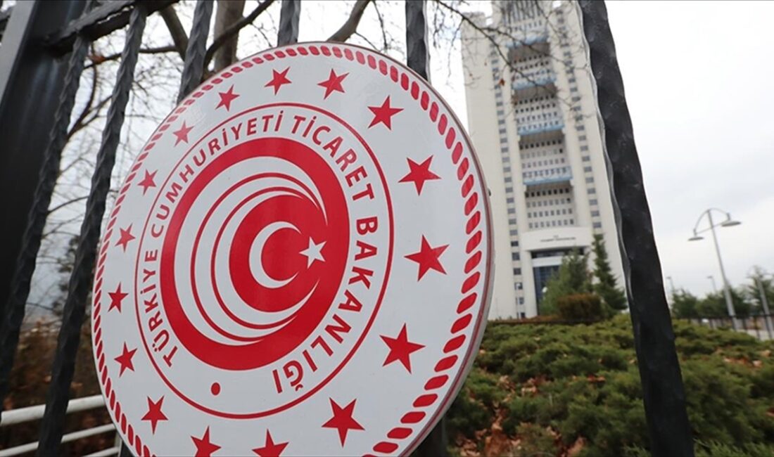 Ticaret Bakanlığının, gümrüklerdeki tasfiyelik araç ve eşyaların ülke ekonomisine kazandırılması
