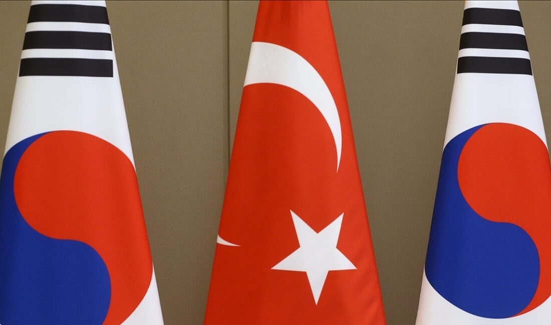Güney Kore Ticaret Bakan Yardımcısı Jang Youngjin, Türkiye ile altyapı,