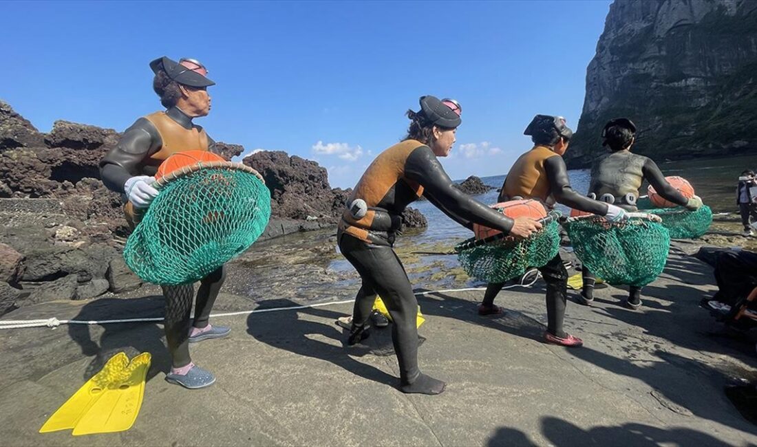 Güney Kore'nin Jeju Adası'nda yaşayan ve "deniz kızı" anlamına gelen