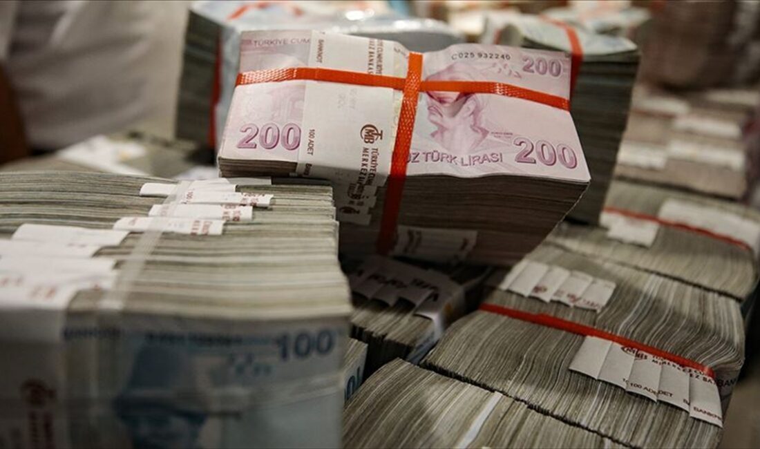 Hazine ve Maliye Bakanlığı, 8 milyon kişinin kullanımına sunduğu elektronik