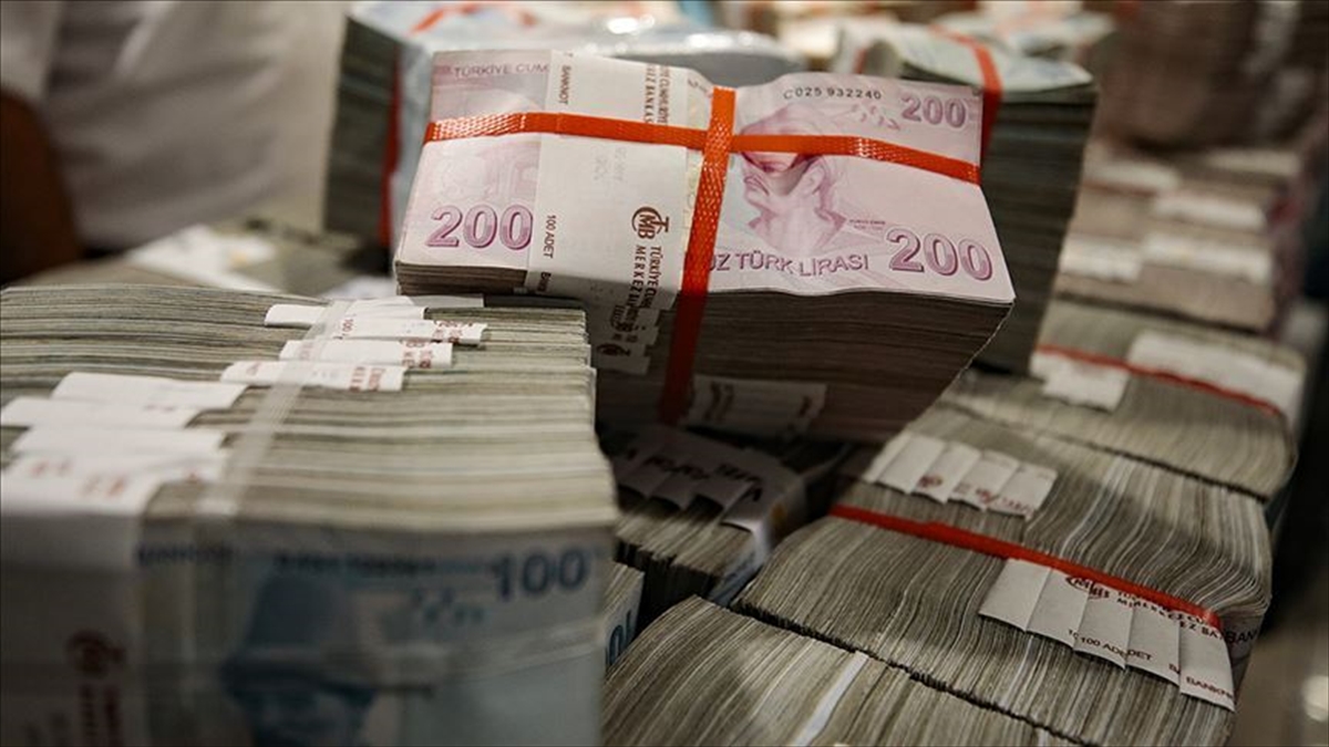 Hazine ve Maliye Bakanlığı, 8 milyon kişinin kullanımına sunduğu elektronik